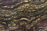 Polished Tiger Iron Stromatolite Slab - Billion Years #247778-1